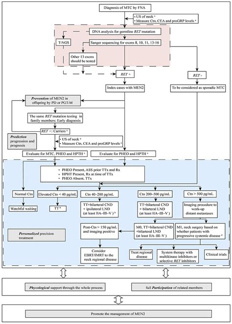 Frontiers | 5P Strategies for Management of Multiple Endocrine ...