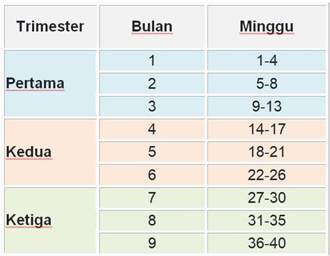 Hamil Trimester Pertama – newstempo