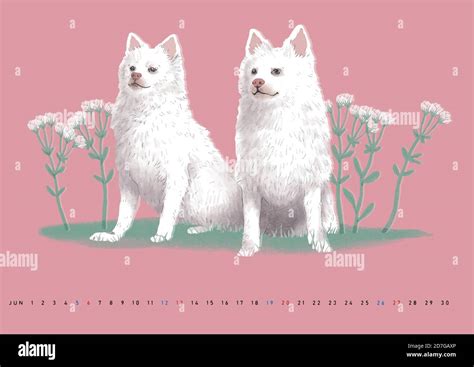 Cute monthly calendar with animals illustration 006 Stock Vector Image ...