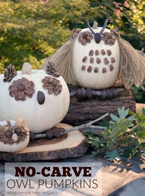 No-Carve Owl Pumpkins! | Pumpkin carving, Owl pumpkin, No carve pumpkin decorating