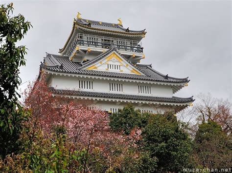 Gifu Castle