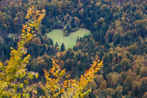 Bohinj Home - Bohinj - uradna stran destinacije - TNP, Julijske Alpe ...