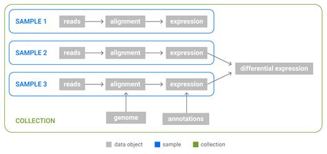 Data Hierarchy Diagram