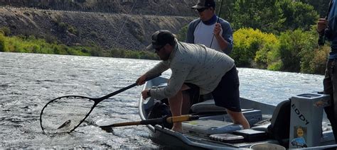 Yakima River Fishing Reports > Red's Fly Shop