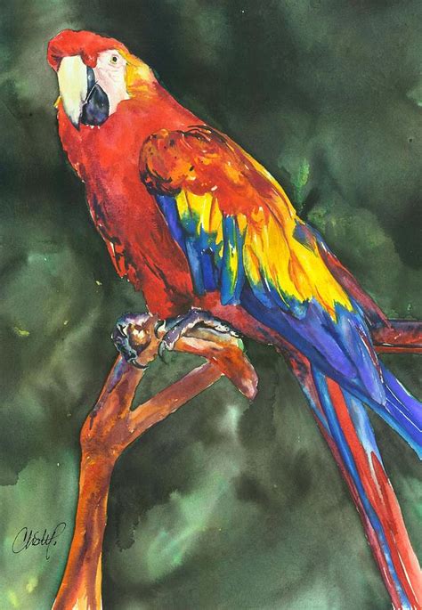 Scarlett Macaw Parrot Painting by Christy Freeman