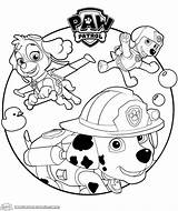 34 Super Marshall Paw Patrol Coloring Page  Gabriel Romero Adriano sketch template