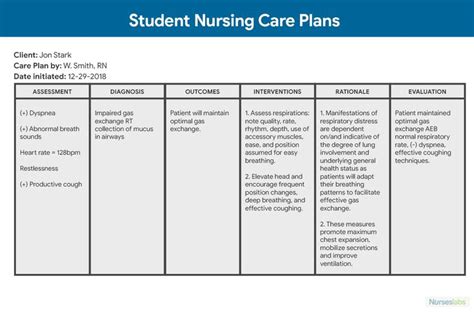 1,000+ Nursing Care Plans: The Ultimate Guide and List for Free (Updated for 2024) | Nursing ...