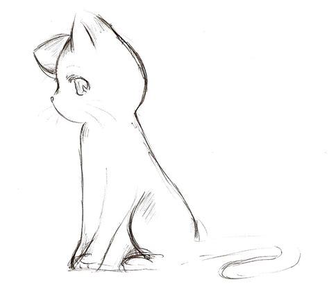 Anime cat - Google Search | Anime drawings, Cat sketch, Cat drawing