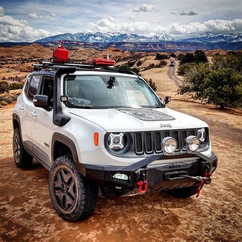 ¿defensas? ¿Mataburras? En Jeep Renegade