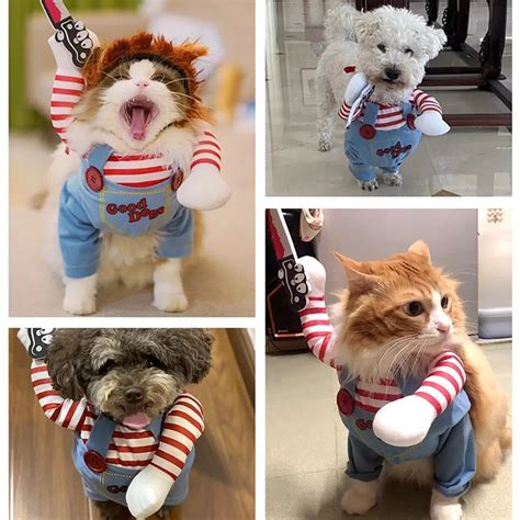 Chucky Pet Costume | Pet costumes, Cat halloween costume, Pet costumes cat