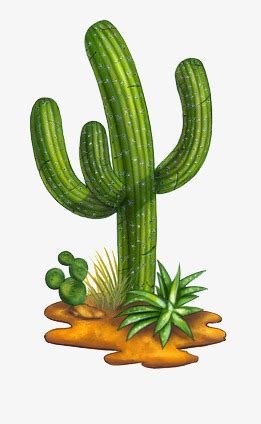 Desert Plants Clipart at GetDrawings | Free download