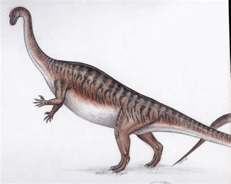 Massospondylus by Greyfurwolf on DeviantArt