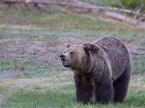 List of parks in Wyoming