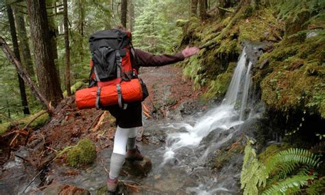 Olympic National Park Hiking Trails, Washington Hikes - AllTrips