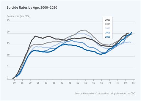 What Accounts for the Rise in Suicide Rates in the US? | NBER