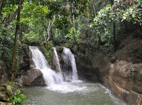 Guadeloupe waterfalls Stock Photos, Royalty Free Guadeloupe waterfalls ...