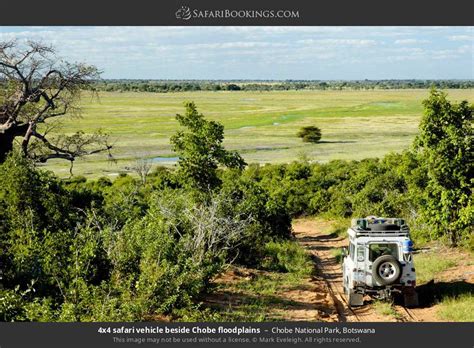 Chobe Photos – Images & Pictures