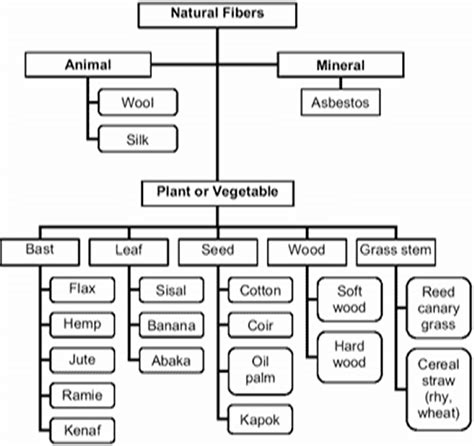 Classification of natural fibers according to their origin together... | Download Scientific Diagram