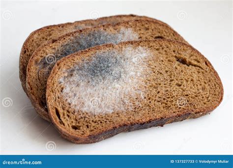 Slices of Black Bread, Covered with Mold. Mold on Bread_ Stock Image - Image of organic, meal ...