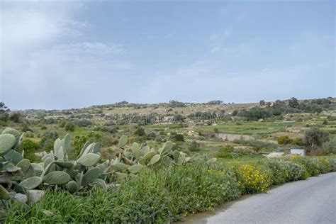 Malta Countryside Id-Dwejra View Stock Image - Image of number ...