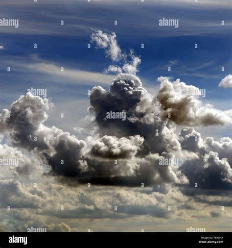 Clouds That Look Like Animals Stock Photo - Alamy