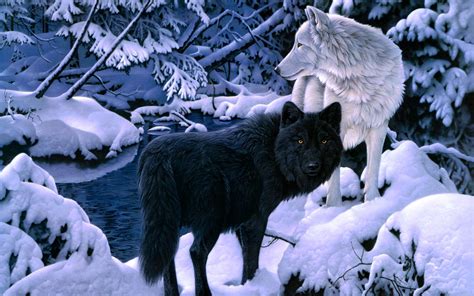 Wolf Christmas Wallpaper - WallpaperSafari