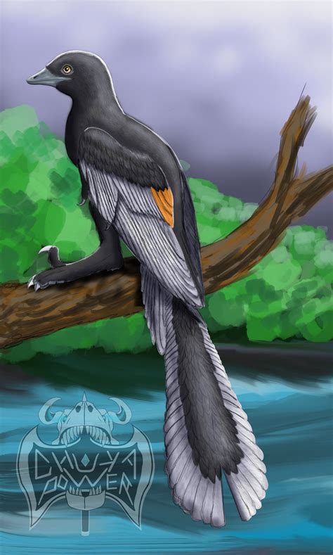 Archaeopteryx by Chukapower on DeviantArt