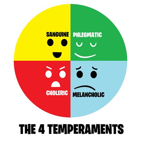 The 4 Temperaments by DecIsMuchJuvenile on DeviantArt