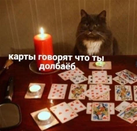 Create meme "the cat is wondering, fortune teller with cards, card divination" - Pictures - Meme ...