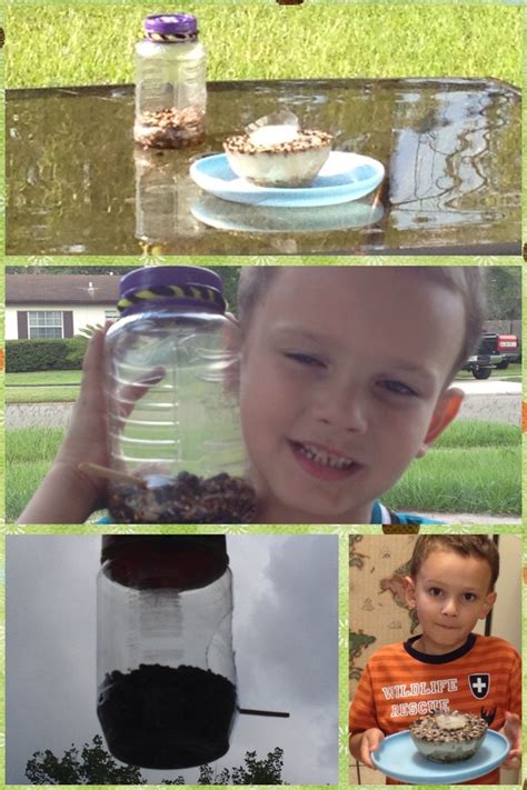 Bird feeder from a jelly jar. Quick and easy. And B made one by freezing birdseed and water ...