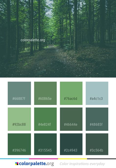 forest green color palette - Dimensional Blawker Pictures Gallery