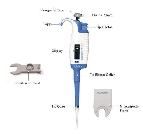 What Is The Function Of Micropipette at Darlene Townsend blog