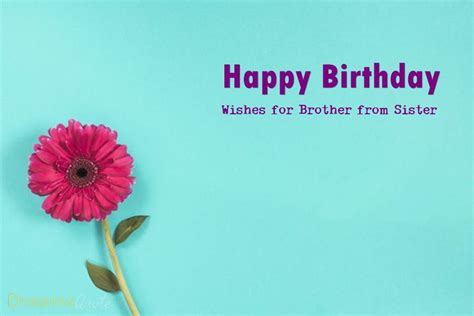 80 Happy Birthday Wishes for Brother from Sister - Dreams Quote