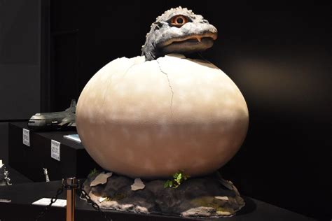 Godzilla Museum: Godzillasaurus egg : GODZILLA