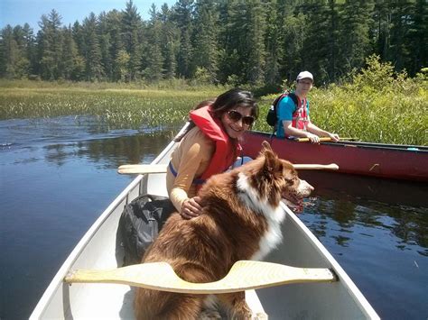 Algonquin Eco-Lodge Ontario Canoeing at Its Finest: Canoe Trips at ...