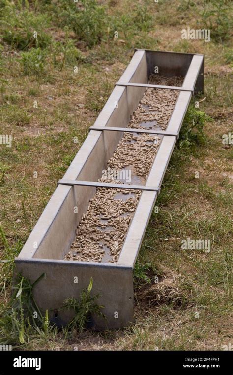 Feeding troughs, Animal feeding trough Stock Photo - Alamy