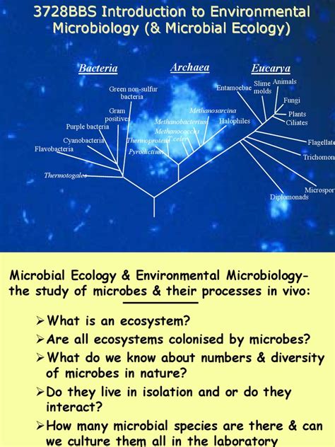 Microbial Ecology | Biomass (Ecology) | Microorganism