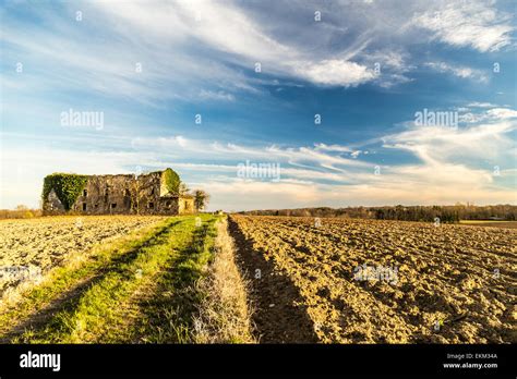 an abandoned and ruined farm in the fields of Italy Stock Photo: 80961450 - Alamy