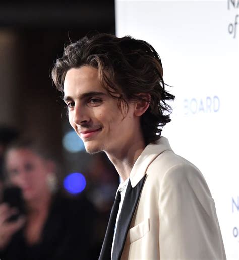 Timothée Chalamet's Mustache Has Divided the Internet | POPSUGAR Beauty ...