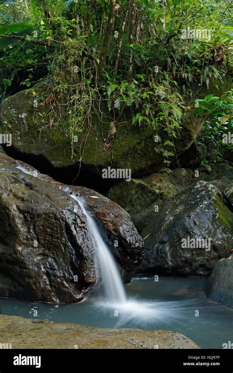 Waterfalls, Caribbean National Forest (El Yunque Rain Forest), Puerto Rico Stock Photo - Alamy