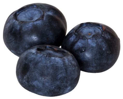 Blueberry PNG Picture | PNG Mart