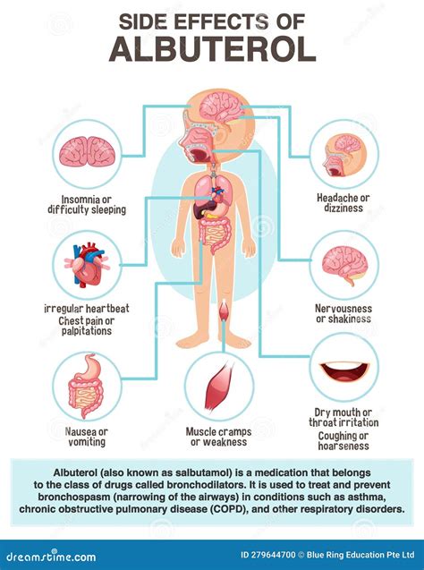 Human Anatomy Diagram Cartoon Style of Albuterol Side Effects Stock Vector - Illustration of ...