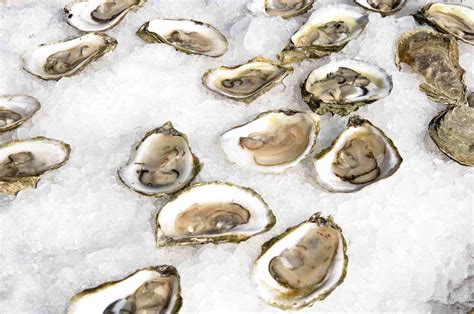 A Guide to the Different Types of Oysters