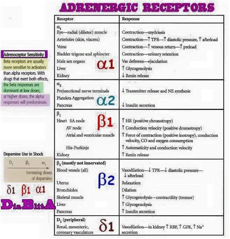 Adrenergic Receptors Classification