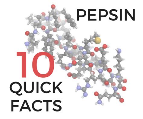 PEPSIN-FACTS - Peptest - a reflux diagnostic device