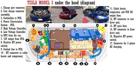 Tesla Model 3 Schematic: Understand Your Car's Anatomy