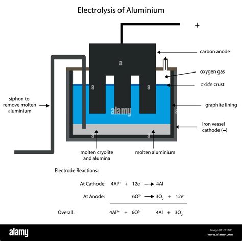 Electrolysis Water Labeled Diagram Show Electrolysis Stock, 57% OFF