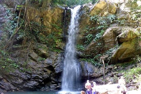 THE 10 BEST Things to Do in Trinidad and Tobago - Updated 2020 - Must ...