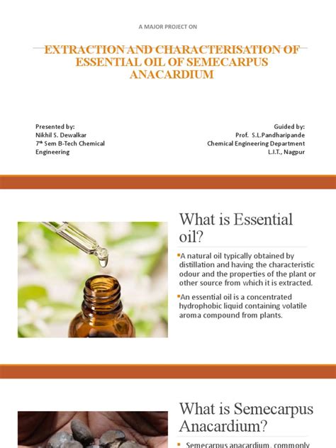 Semecarpus Anacardium Essential Oil Presentation | PDF | Distillation | Ethanol