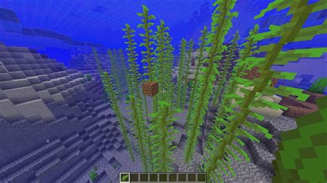 3 easiest ways to get kelp in Minecraft's 1.18 update